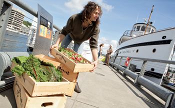 Kelley Moore's Waterside Farm Picnic Kelley Moore's Waterside Farm Picnic