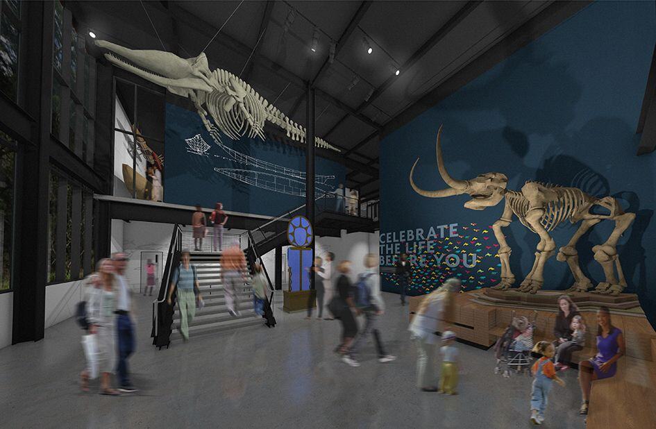 Seattle Fall Arts Preview: Inside the New Burke Museum Seattle Fall Arts Preview: Inside the New Burke Museum