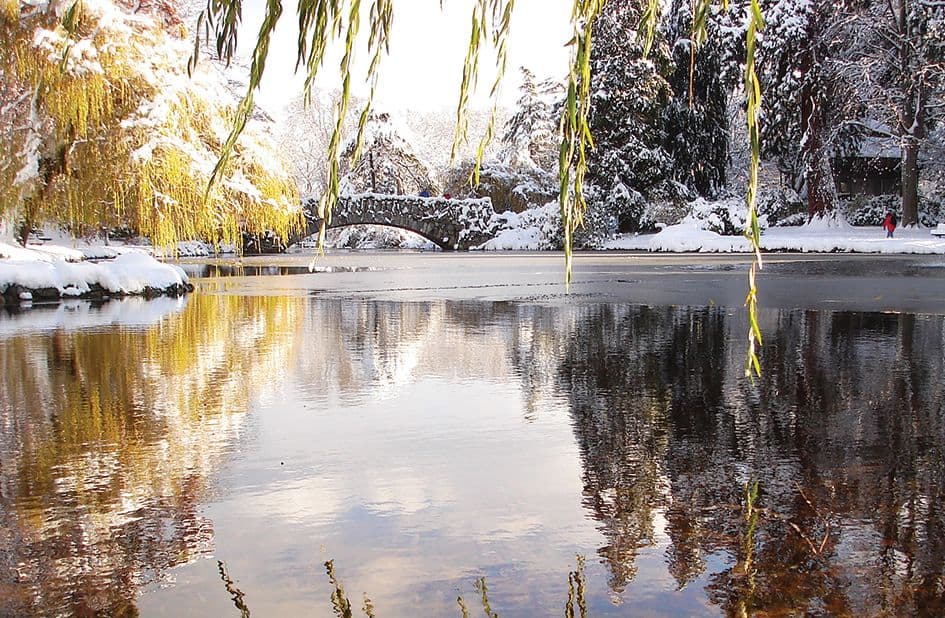The Walkable, Culture-rich City of Victoria Makes a Perfect Winter Escape