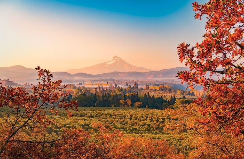 The Best PNW Fall Road Trips