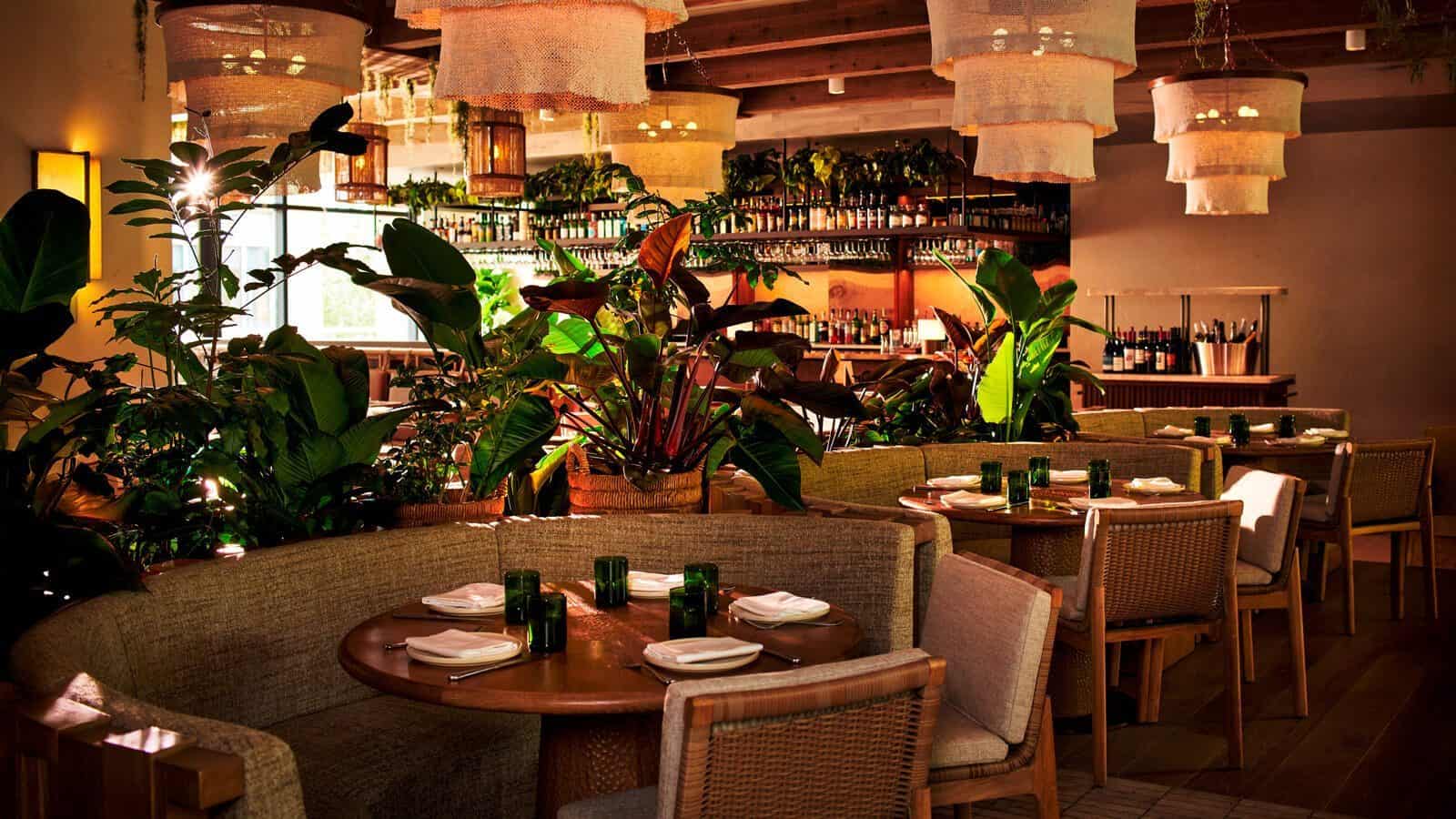 A cozy restaurant interior at 1 Hotel South Lake Union features round tables, wicker chairs, lush green plants, and warm lighting from woven pendant lamps—a true hidden gem in the city.