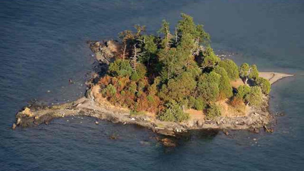 A small, rocky island covered with dense trees and surrounded by blue water in the San Juan Islands, photographed from above.
