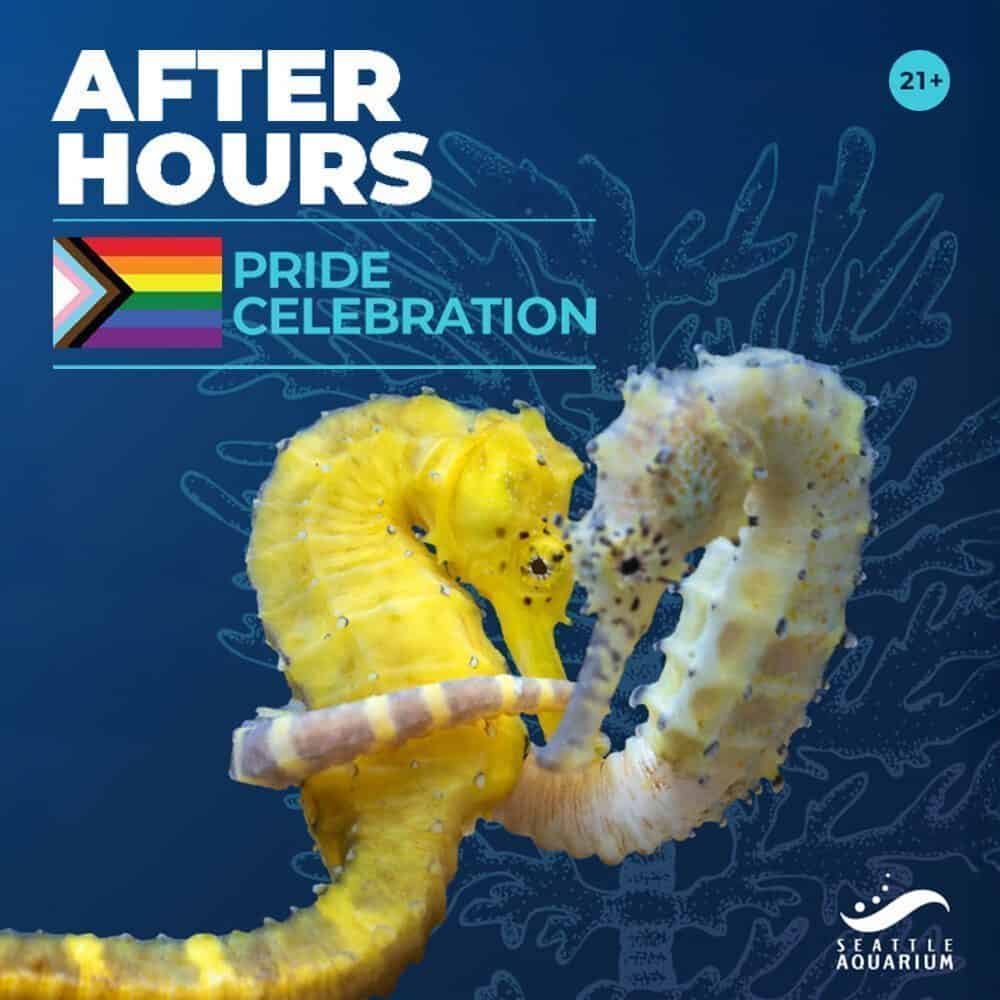 Two seahorses touch snouts in front of coral, with a Progress Pride flag and text for Seattle Aquarium’s after-hours 21+ Pride Celebration on 06-19-2025—featured in The Must List!.