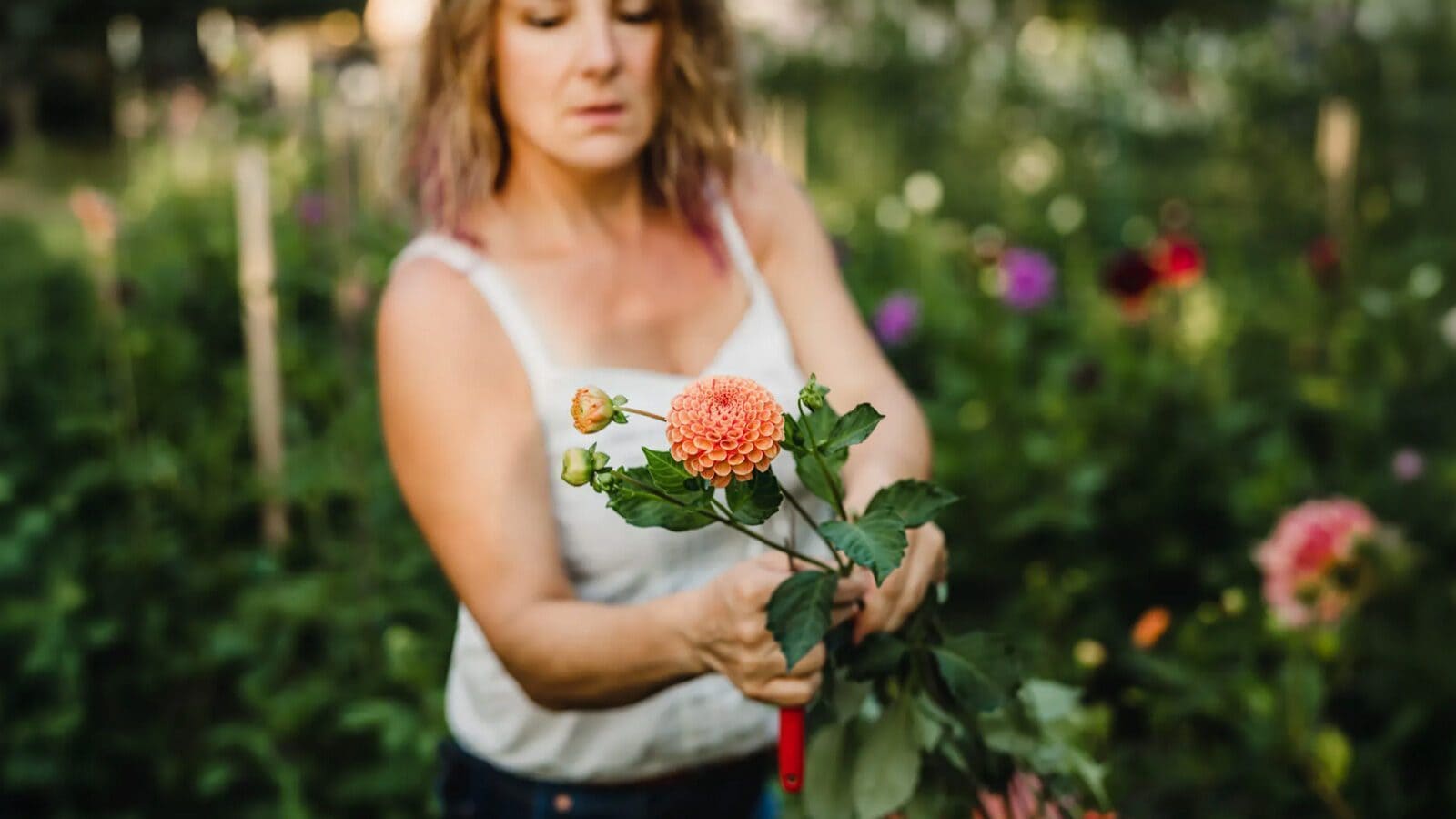 A person in a white tank top holds an orange dahlia flower with green leaves in a garden, reflecting the new book that promotes the use of locally grown, seasonal flowers.