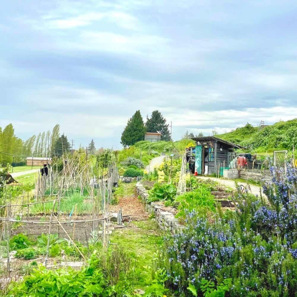 Restaurant Roundup: James Beard Drought, Beacon Food Forest, a Monastery Buffet