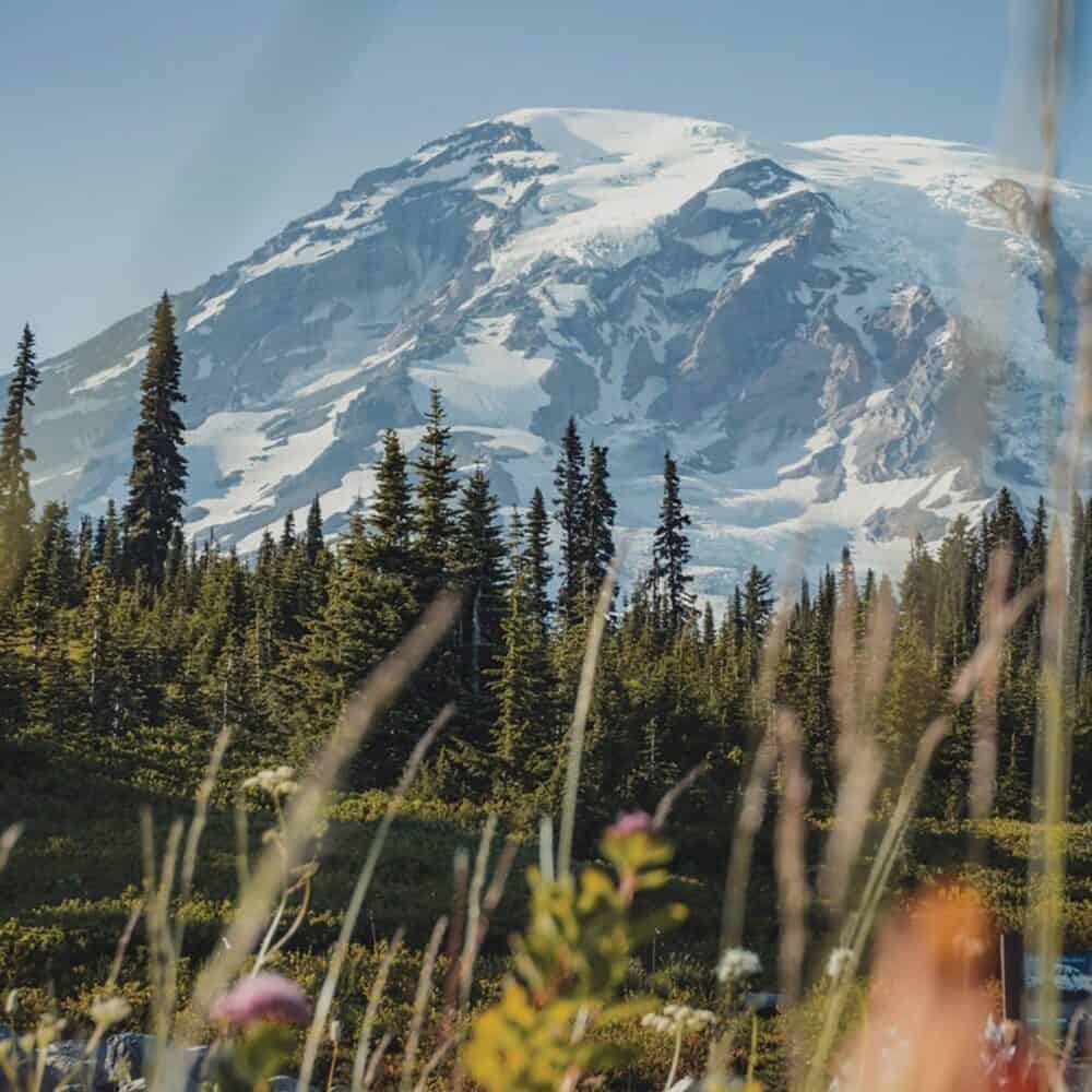 Job Cuts Threaten Washington’s Natural Beauty