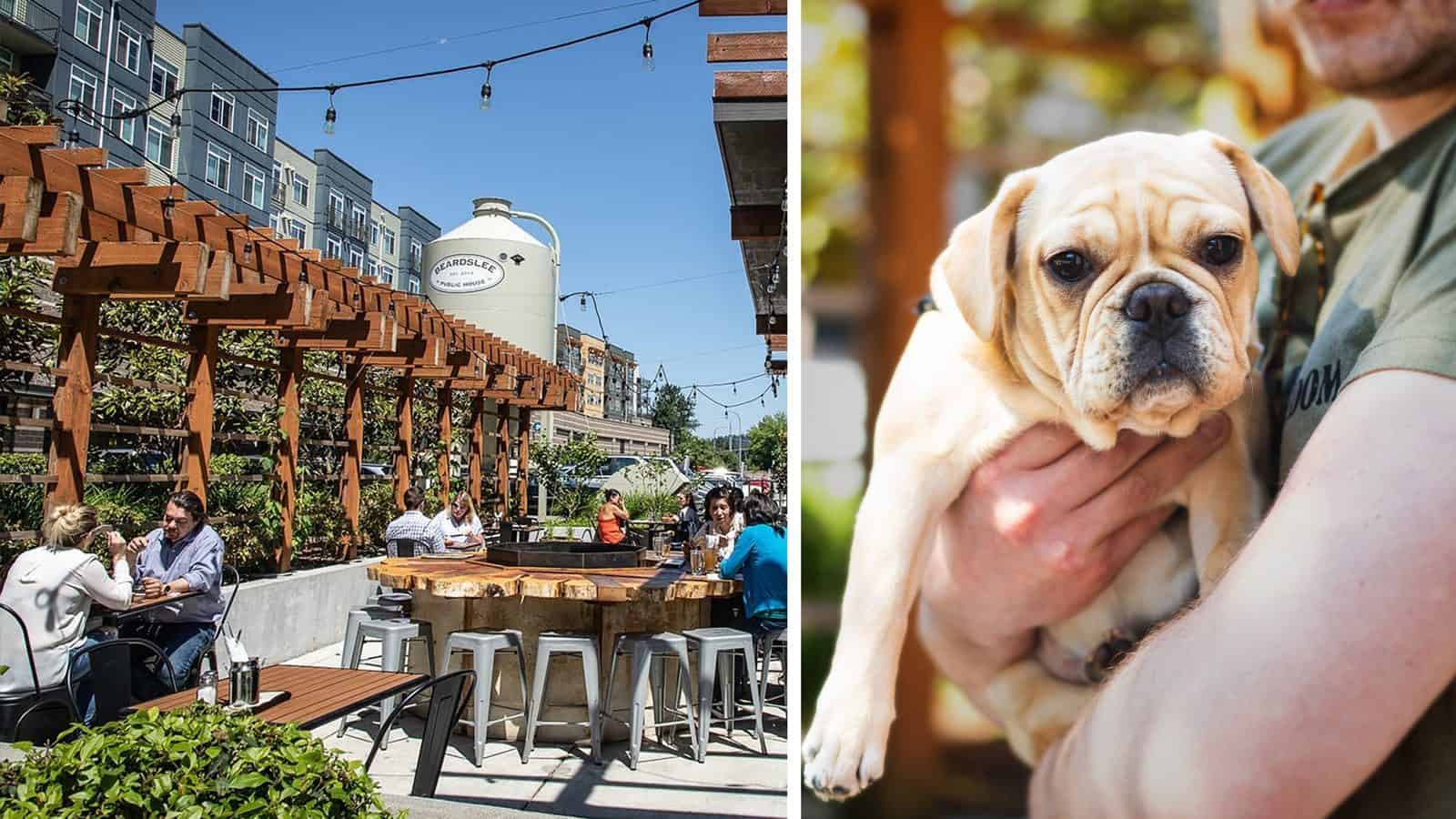 At Beardslee Public House, the outdoor seating area buzzes with patrons enjoying their meals. A close-up captures the warmth of a guest cradling their dog, highlighting this lively, pet-friendly restaurant's welcoming atmosphere for both people and their furry companions.