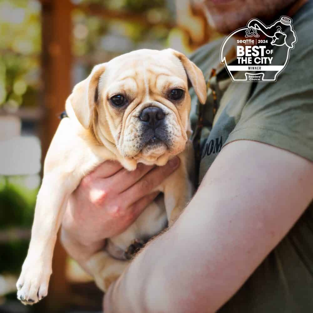 Best Pet-Friendly Restaurant: Beardslee Public House Best Pet-Friendly Restaurant: Beardslee Public House