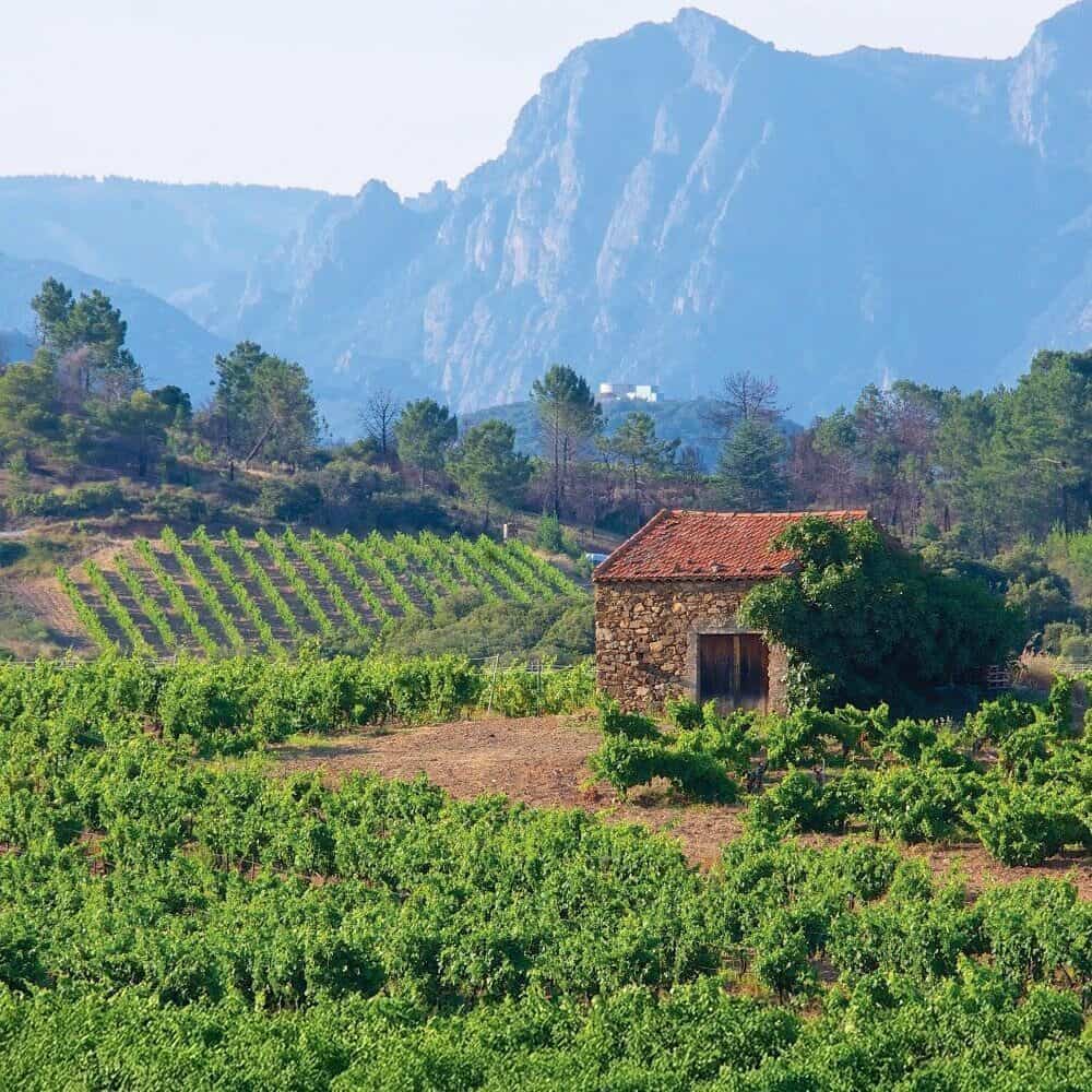 Discovering the Hidden Treasures of Languedoc