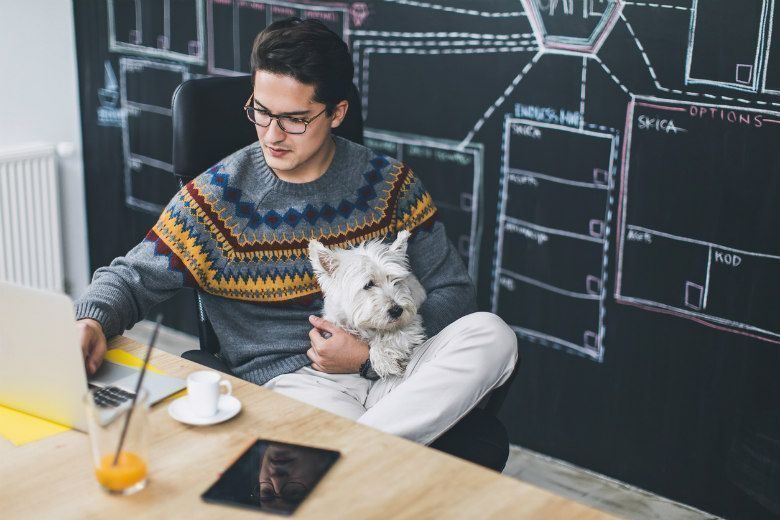 Has Seattle Gone Too Far With Dogs in the Office? Has Seattle Gone Too Far With Dogs in the Office?