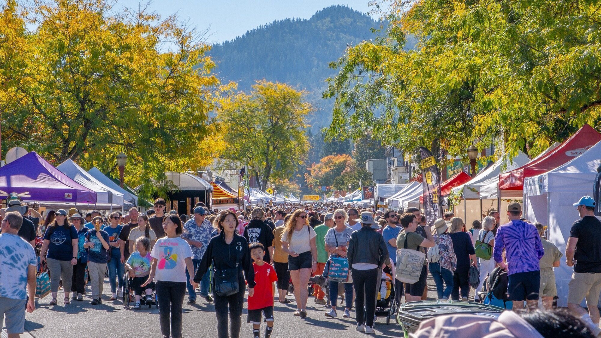 Crowd of people walking among vendor tents at an outdoor street fair on a sunny day, with trees and mountains in the background.