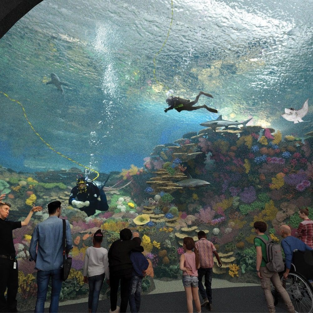 A Tropical Reef in the Pacific Northwest A Tropical Reef in the Pacific Northwest