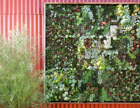 Vertical Garden Art at Ballard Floral Shop Midnight Blossom Vertical Garden Art at Ballard Floral Shop Midnight Blossom