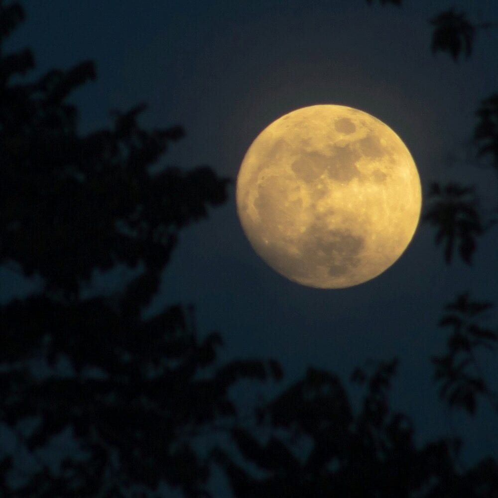 Harvest Moon Rising Harvest Moon Rising