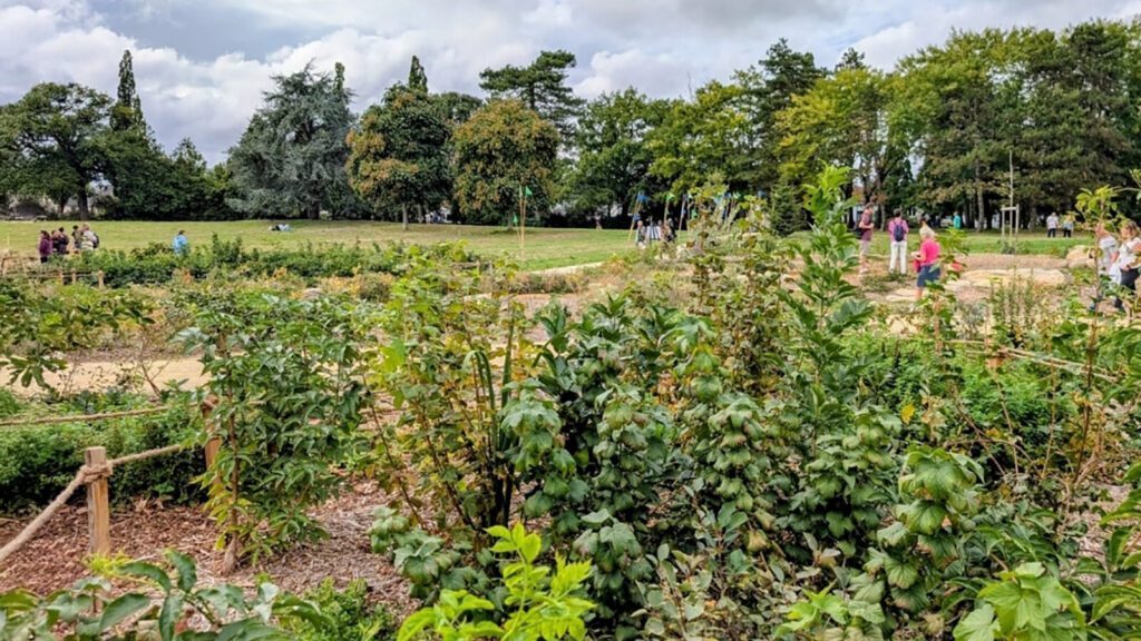 People walking and relaxing in a park with green bushes, trees, and cloudy sky in the background.