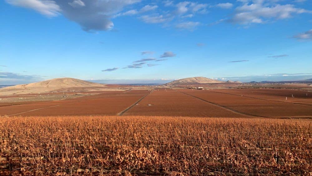 Explore Adventure in the Heart of Washington Wine Country Explore Adventure in the Heart of Washington Wine Country