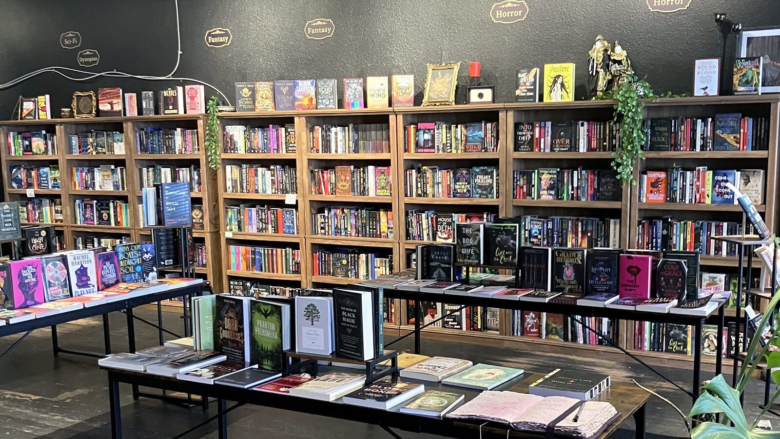 A cozy bookshop interior with wooden bookshelves filled with books and two tables displaying various books in the foreground. Green plants decorate the shelves, adding a fresh bite of nature to the inviting space.