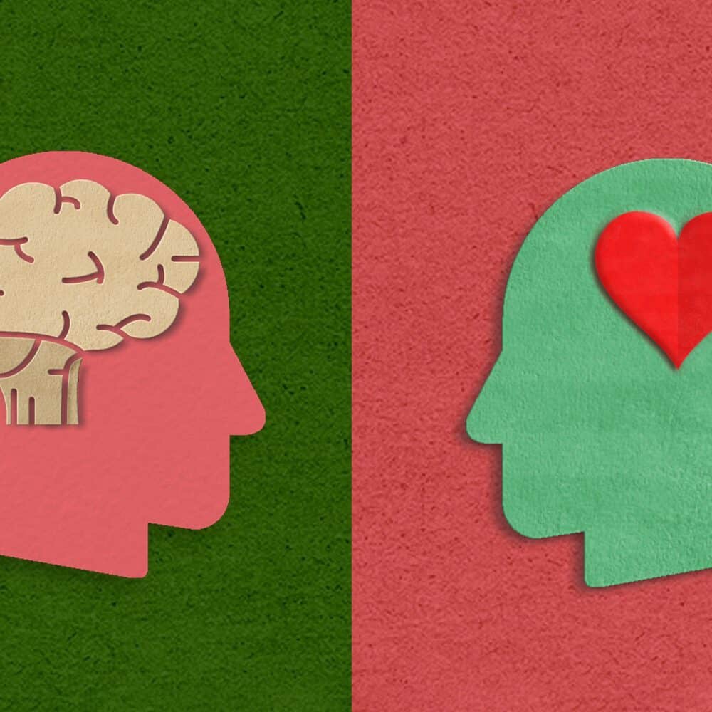 Heartbeat: When Hearts and Heads Collide