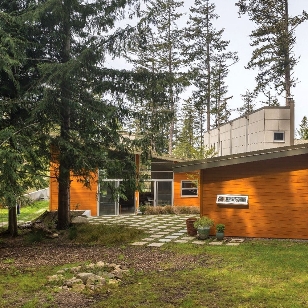 Among the Trees Among the Trees