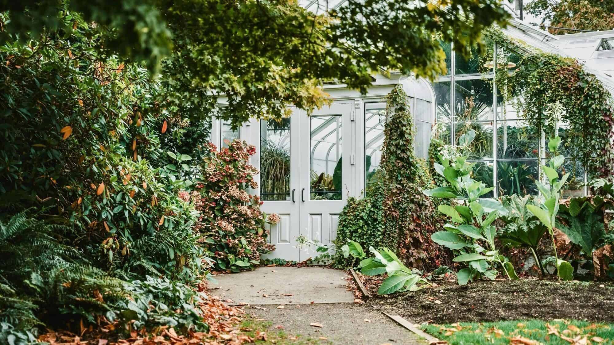 A glass greenhouse with white double doors stands at the pulse of lush green plants and trees, with a concrete path on these thriving grounds for change leading to the entrance.