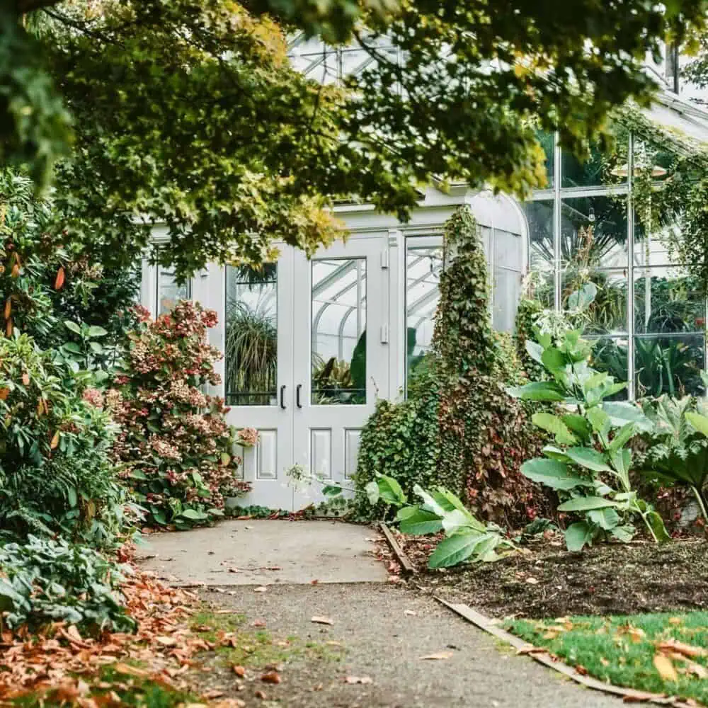 The Pulse: Grounds for Change