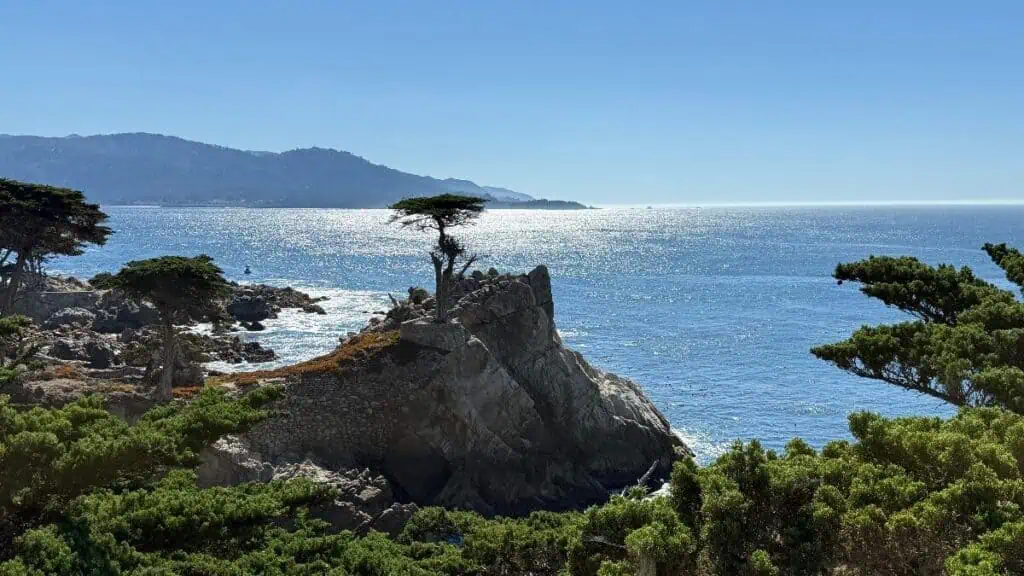 Rocky coastline with sparse trees, including a lone cypress on a cliff, overlooking a calm, sunlit ocean with distant mountains under a clear blue sky.