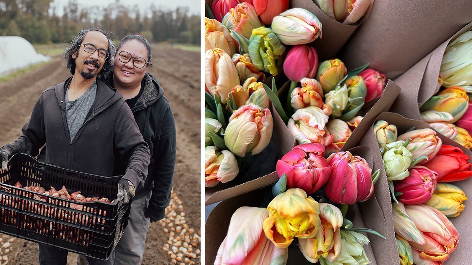 Two people stand smiling in a field, holding a crate of bulbs. Beside them, a close-up shows colorful bouquets of seasonal tulips wrapped in brown paper and sustainably harvested flowers.