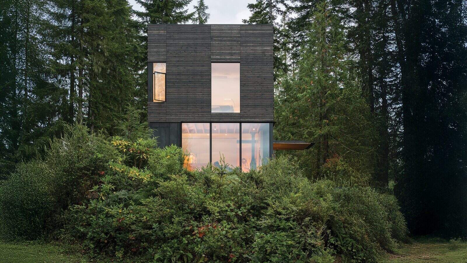 A modern two-story house with a dark exterior, large lower windows, and dense greenery—perfect for summers in the waterfront or as luxurious second homes nestled among tall trees.