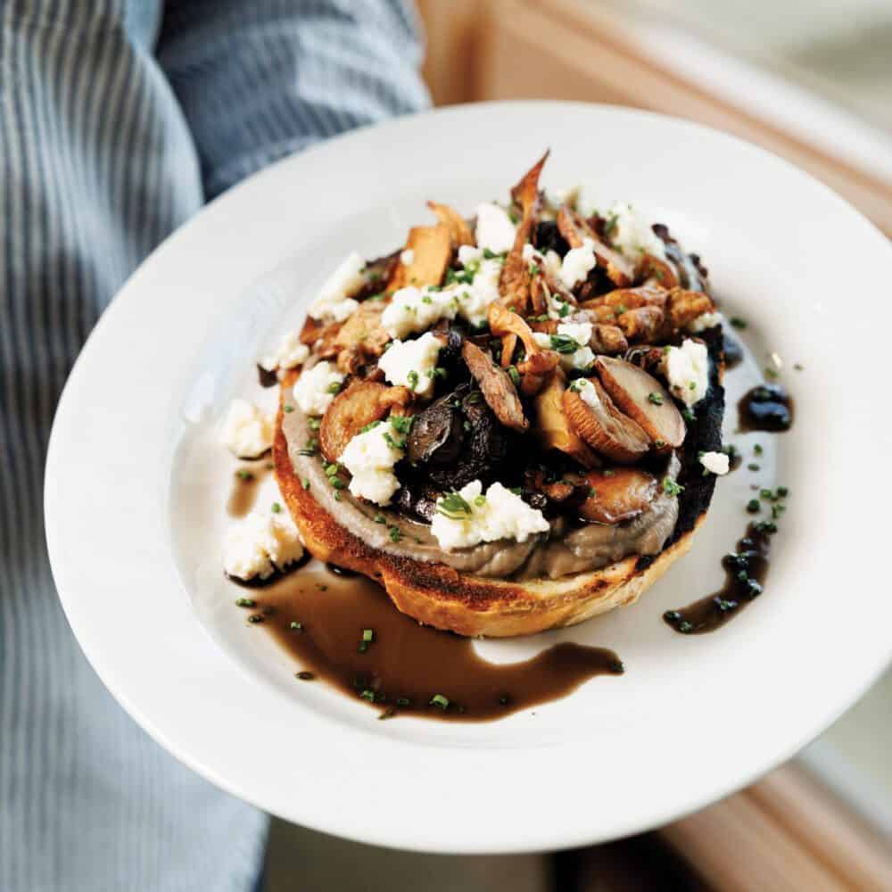 Sound Bites Sound Bites