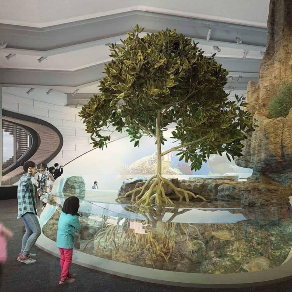 How to Celebrate the Sea on World Ocean Day How to Celebrate the Sea on World Ocean Day