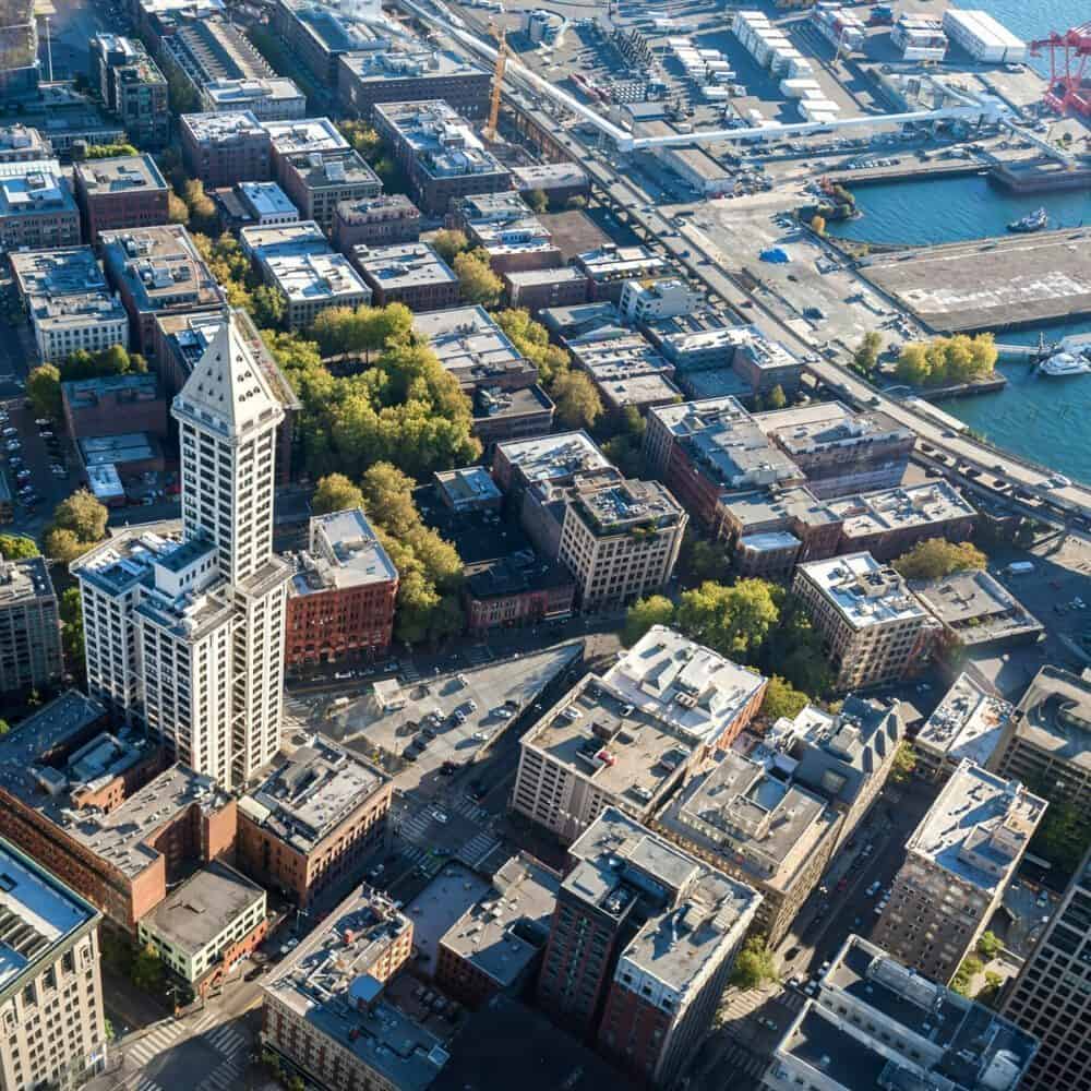 The Pulse: Seattle Is for the Birds The Pulse: Seattle Is for the Birds