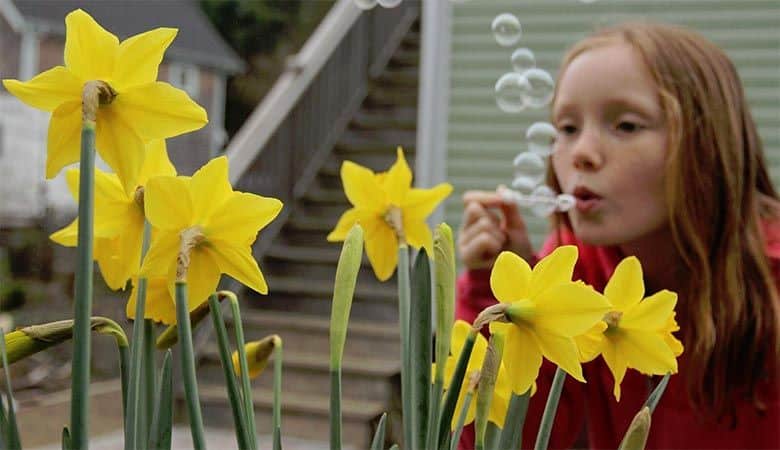 Seabrook Hosts First Annual "Daffodil Festival" March 17-18 Seabrook Hosts First Annual "Daffodil Festival" March 17-18