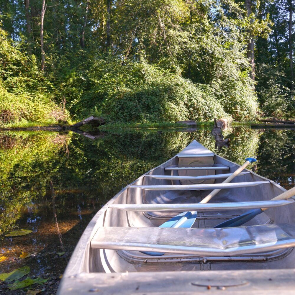 The Pulse: Sun Baked The Pulse: Sun Baked