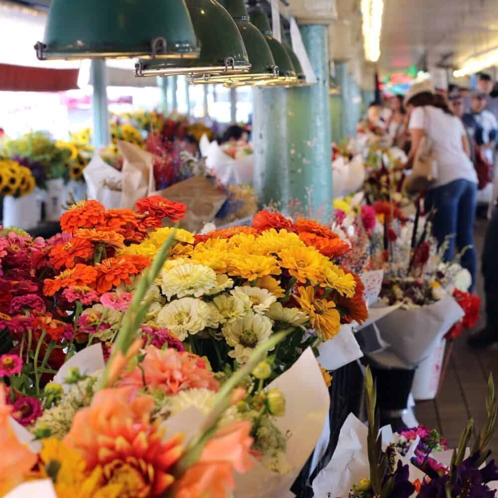 June in Seattle Delivers June in Seattle Delivers