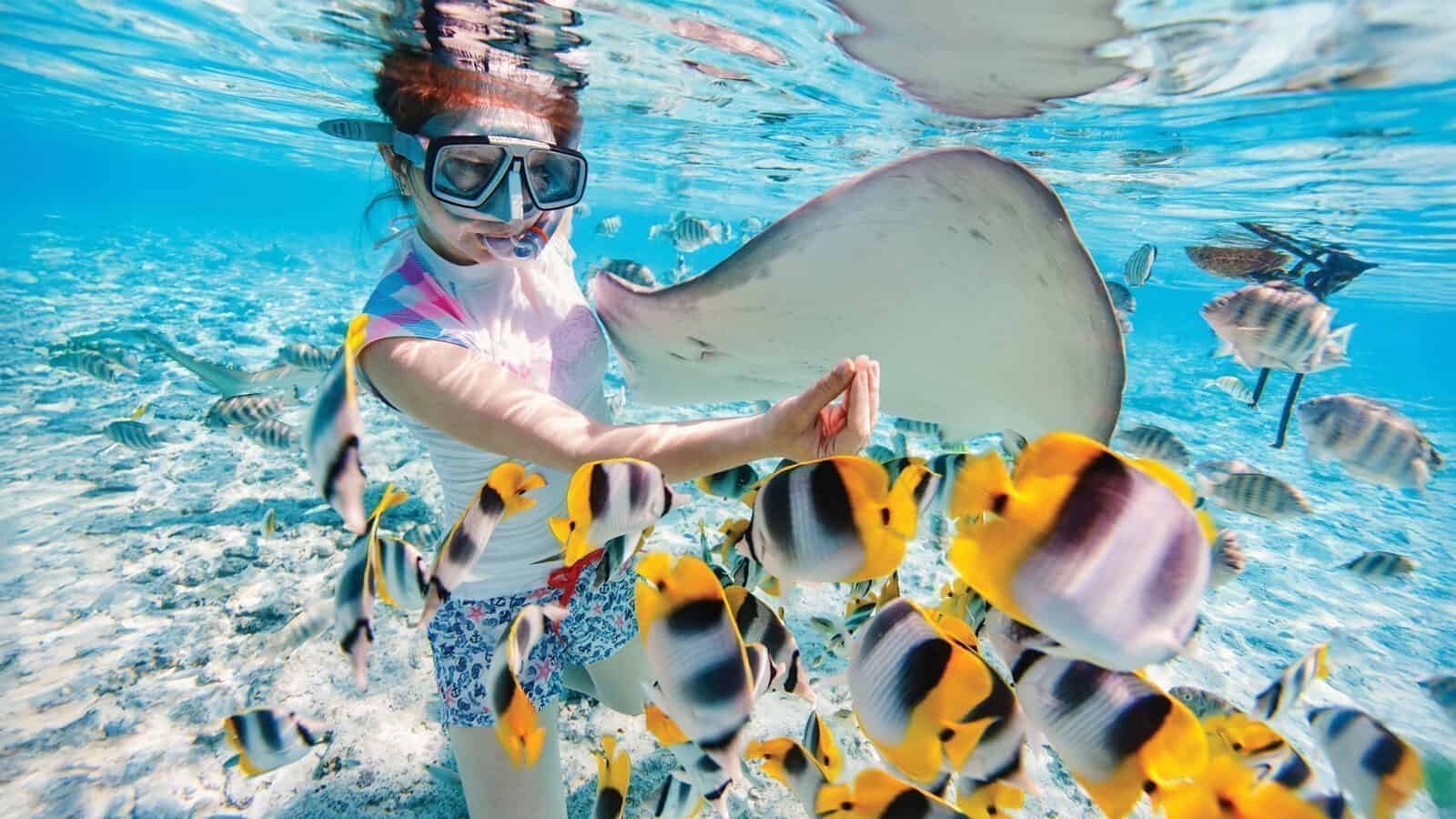 A person snorkeling underwater in Tahiti touches a large stingray while colorful fish swim nearby in clear, shallow water.