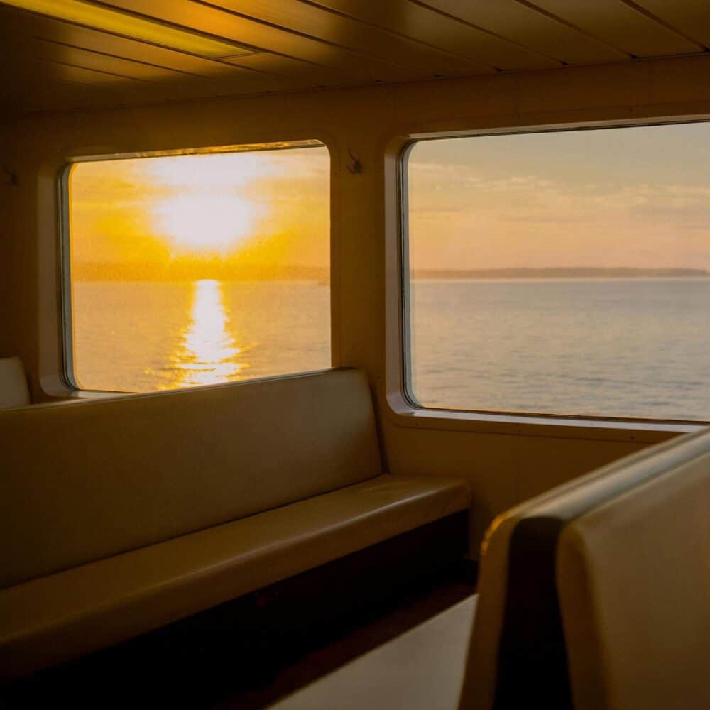 The Pulse: That Summer Light The Pulse: That Summer Light