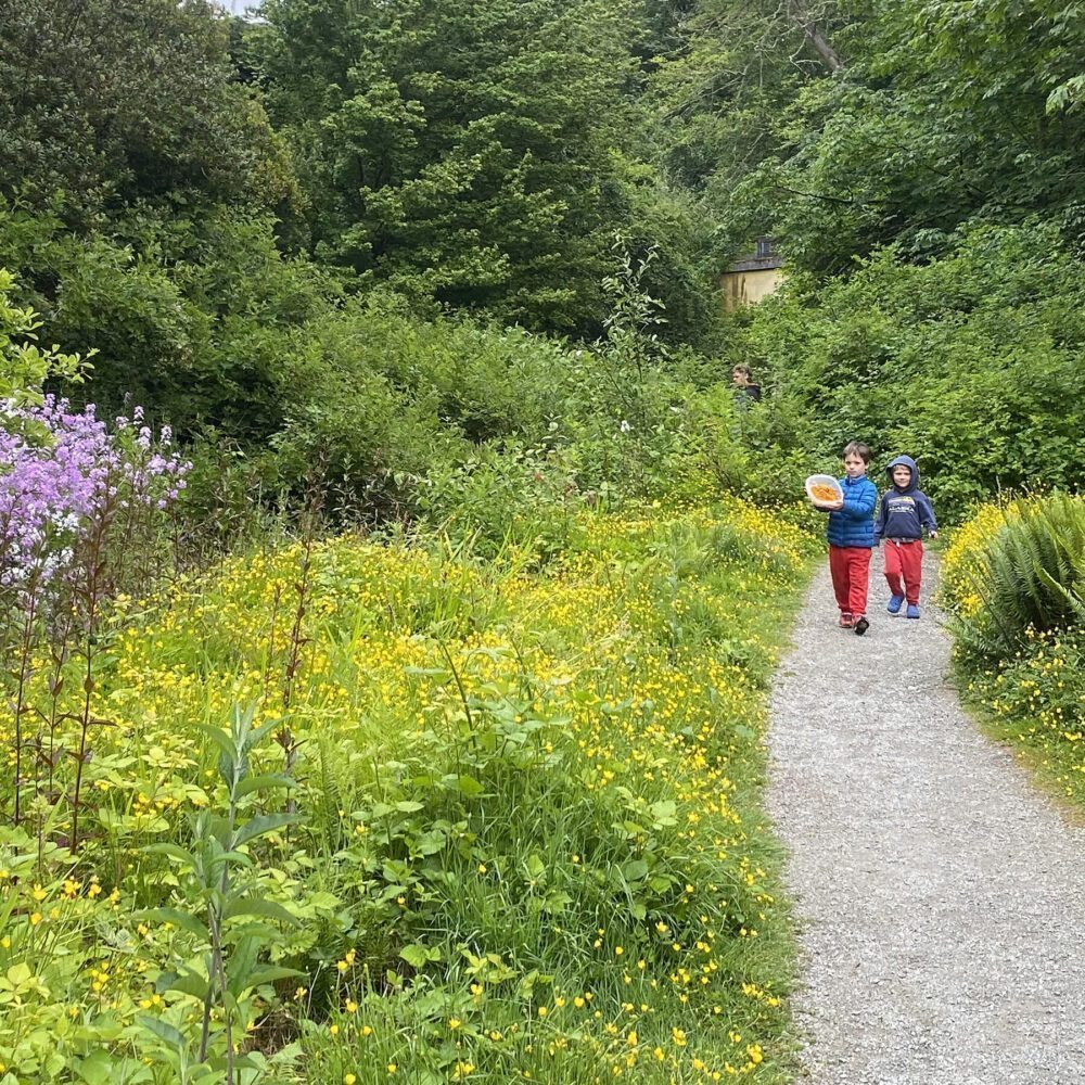 Trail to Table Trail to Table