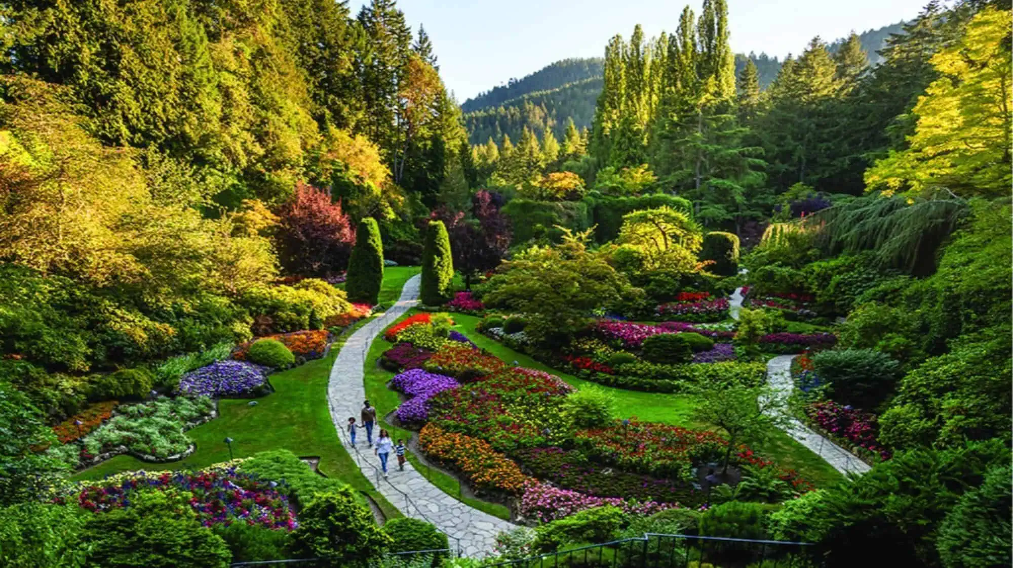 A scenic garden with vibrant flowerbeds, winding stone paths, and towering trees in the backdrop. A few people walk along the paths, enjoying the lush greenery and colorful blossoms, while others savor dining delights inspired by Victoria BC's forage-to-fork feasts.