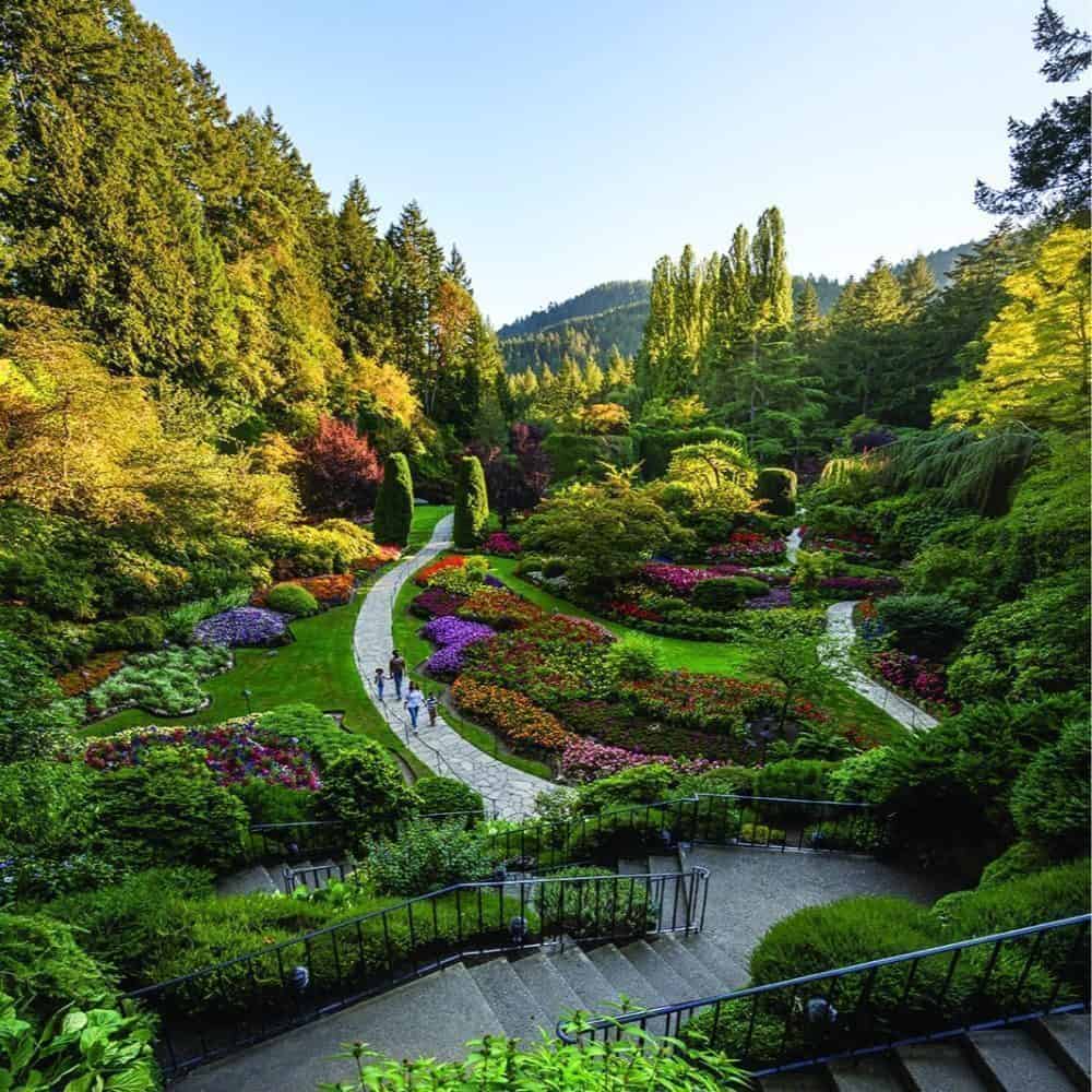 A Magical Ferry Tale A Magical Ferry Tale