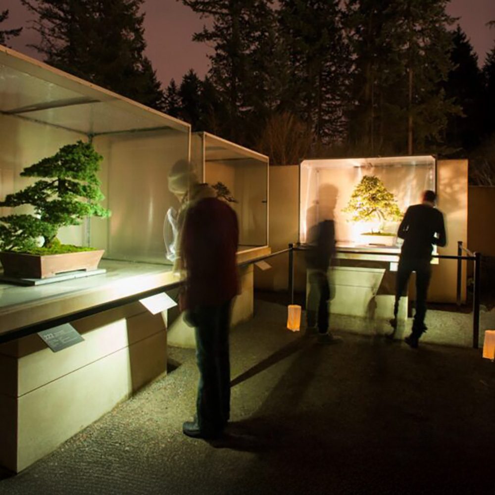 Must List: 6 Festive Things to Do in Seattle This Week