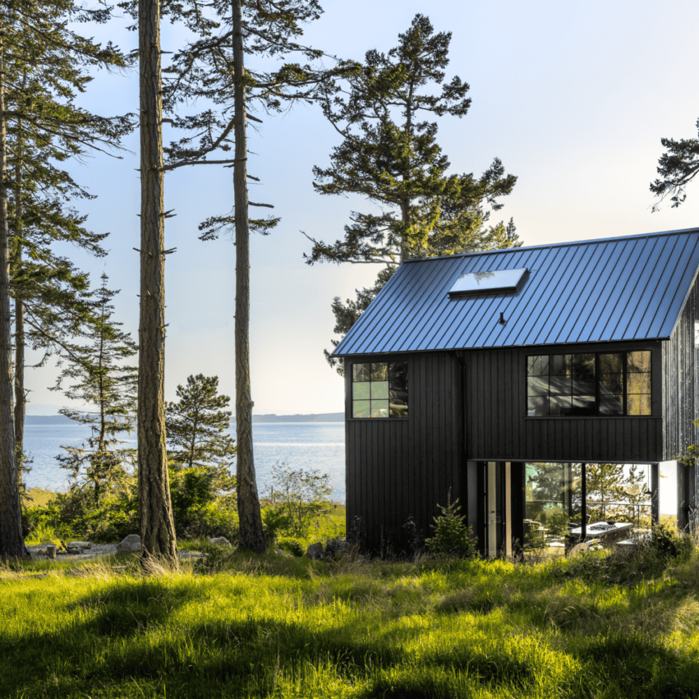 Living: The Lightness of Seeing Living: The Lightness of Seeing